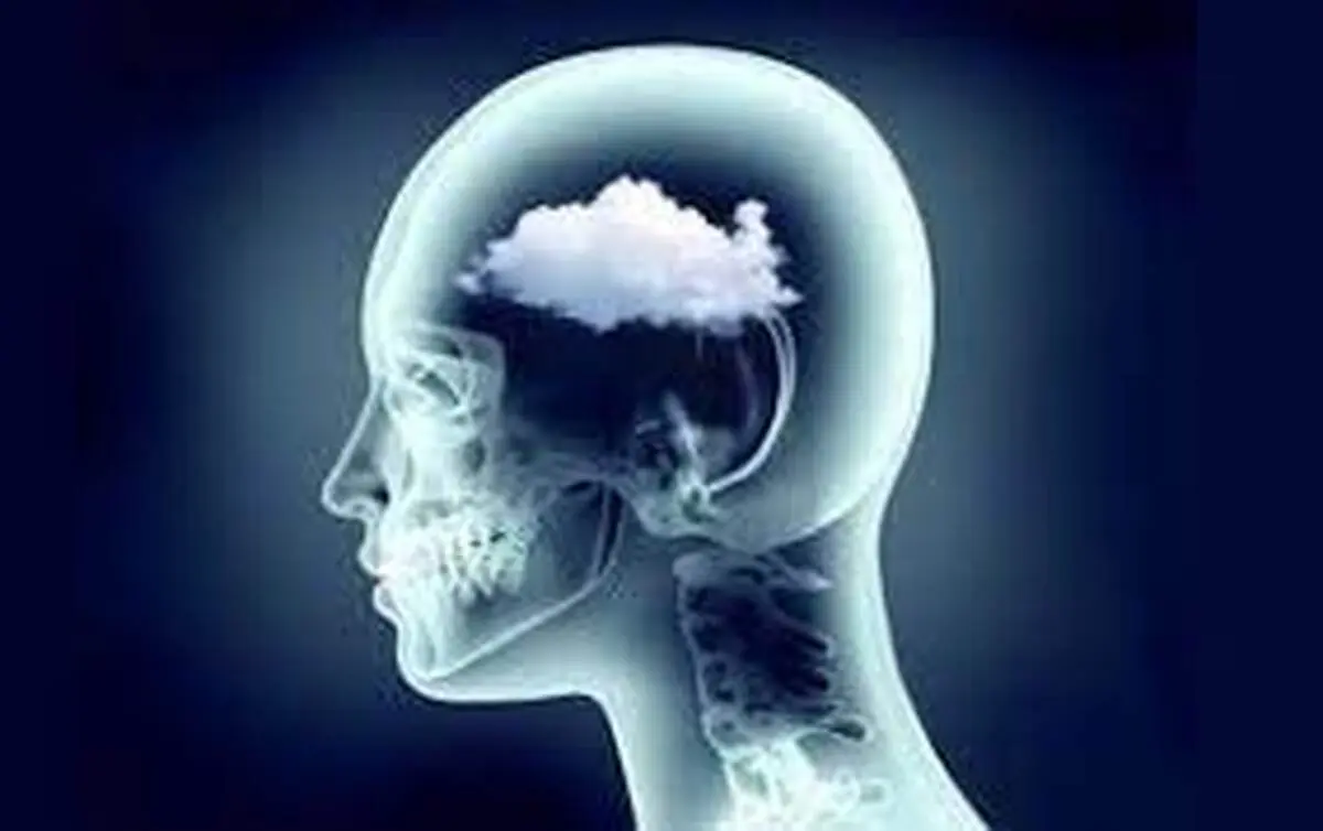 تقویت حافظه کوتاه مدت با این روش