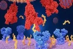  ۱۵۰۰۰ بیمارکرونایی در نوروز به سفررفتند