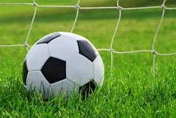 سرمربی تراکتور بر بام اخبار ورزشی