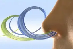 نحوه تقویت حس "بویایی" بعد از بهبود عفونت‌های ویروسی