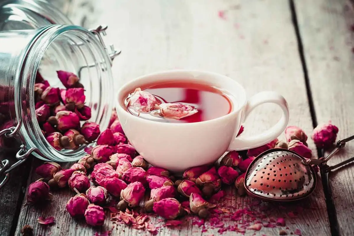 فواید چای گل رز | مزیت های چای گل رز برای سلامتی و عوارض جانبی آن