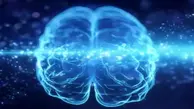  راز مغز جوان‌تر |  پژوهشگران: تمرینات ذهنی توانایی معکوس کردن پیری مغز تا یک دهه را دارند