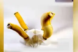 ربات که به لمس دست شما واکنش نشان میدهد | رباتی که شبیه موز است + ویدئو