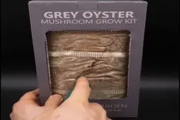 محصولات جدید کشاورزی + ویدئو