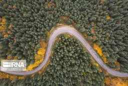 نابودی جنگل‌های کشور تا چند سال آینده شایعه است 