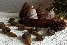 خلاقیت با طبیعت | ساخت آثار هنری با چند عدد کاج +ویدئو