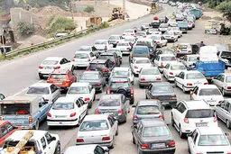  دوستی هلندی ها با زندگى بدون خودرو 