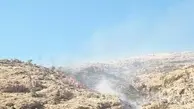 درخواست کمک برای مهار آتش در ارتفاعات باشت