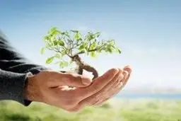 قدرت اراده عمومی | جامعه برای کنشگری زیست‌محیطی چه ابزارهایی دارد؟