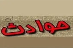 بی‌احتیاطی پدر بجنوردی جان فرزندش را گرفت