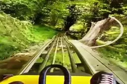 پارک جنگلی سیاهداران تالش، یکی از پارک های رویایی استان گیلان+ویدئو 