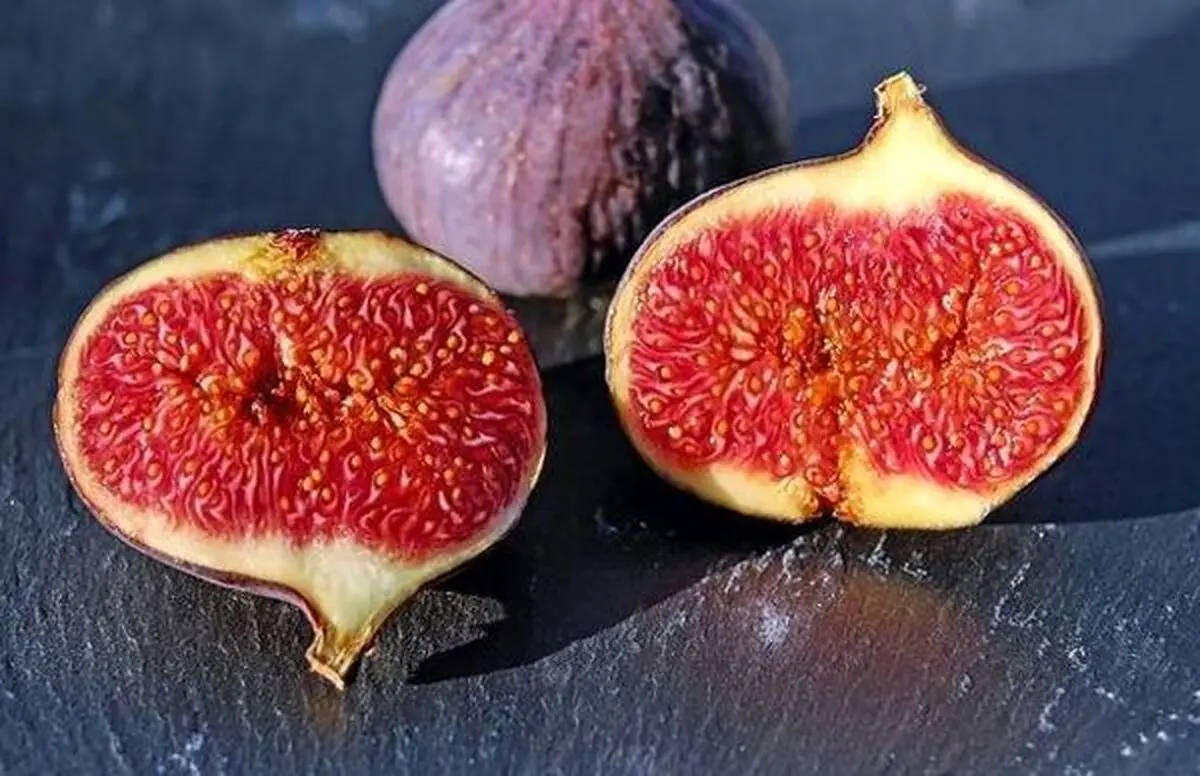  فواید متعدد خوردن انجیر برای بدن