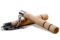 استاد نانچیکو | حرکات زیبای استاد را ببینید + ویدئو 