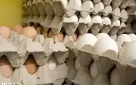 جلوی قاچاق تخم مرغ گرفته شود | خطر حذف تخم مرغ از سبد خانوار