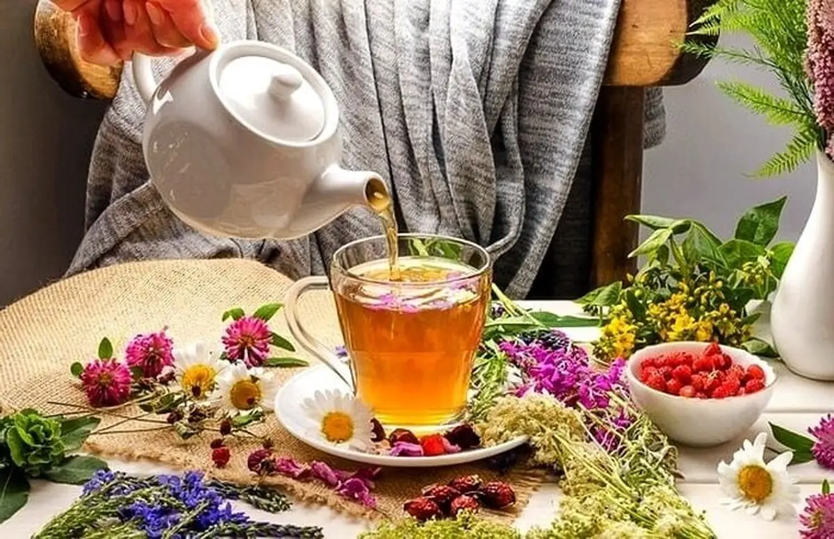 نوشیدن روزانه چای پیری بیولوژیکی را به تاخیر می‌اندازد