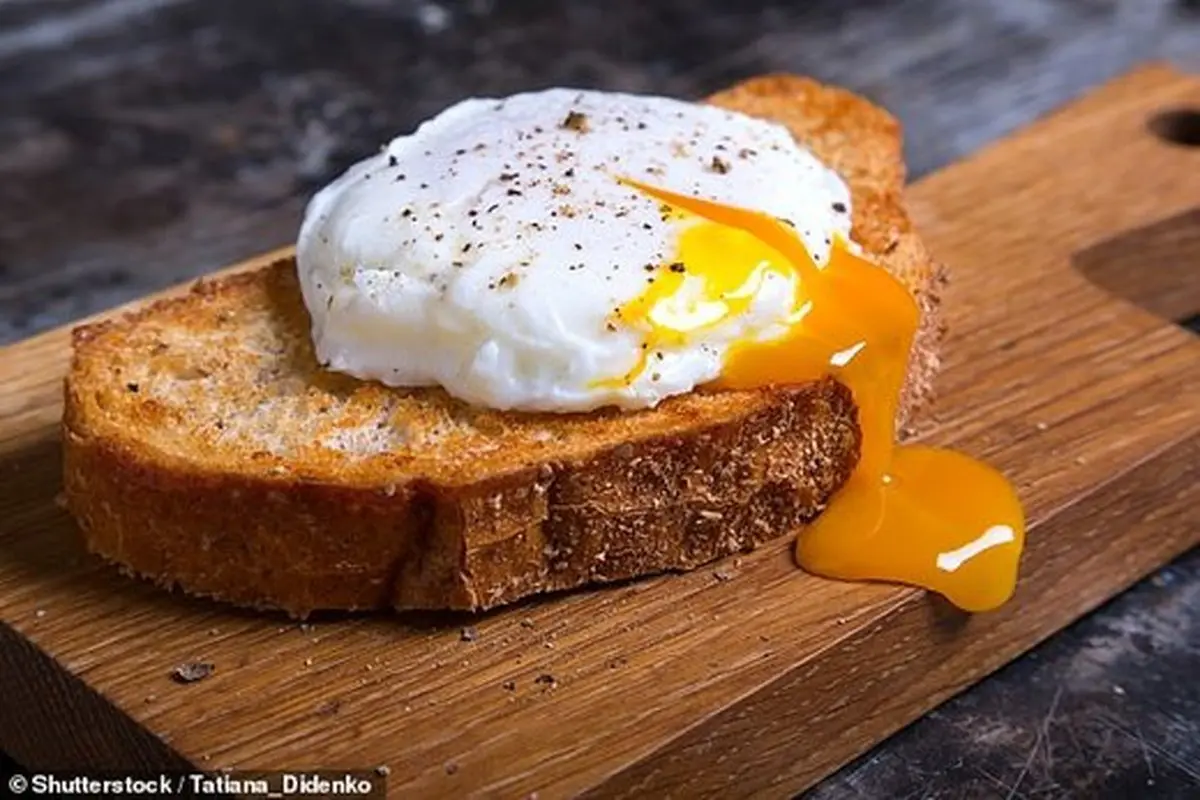 !تخم‌مرغ نخورید! | هشدار جدی درباره خوردن تخم مرغ | نظر دانشمندان دوباره تغییر کرد