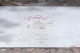 مردم در کنار مزار فردوسی و شجریان، ۲۵ اردیبهشت را پاس داشتند+ویدئو 