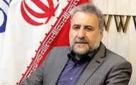 فلاحت پیشه: "هیات عالی نظارت مجمع" هیچ شأنی در قانون‌اساسی ندارد