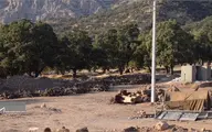 300 اصله بلوط زاگرس قربانی تعریض جاده سی سخت/ 1500 اصله بلوط در معرض قطع شدن