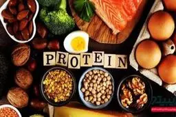 چه مقدار پروتیین نیاز بدنمان را تامین می کند؟ 