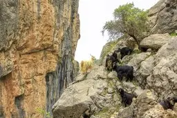  گذرگاه طبیعی پرخطر خدا آفرین 