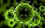 تفاوت درمان در گونه "انگلیسی" نسبت به ویروس "ووهان"
