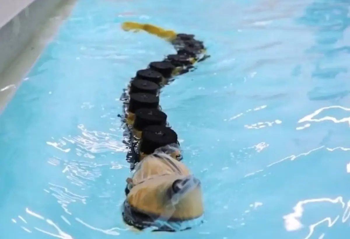 
ساخت ربات شناگر با الهام از ماهیان انگلی ۴۰۰ میلیون ساله
