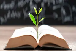 تحصیل چگونه به افزایش دستمزدها کمک می‌کند؟ | اثر دانشگاه