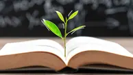 تحصیل چگونه به افزایش دستمزدها کمک می‌کند؟ | اثر دانشگاه