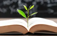 تحصیل چگونه به افزایش دستمزدها کمک می‌کند؟ | اثر دانشگاه