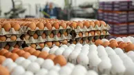 قیمت تخم مرغ در بازار امروز اعلام شد + جزییات