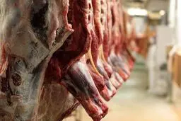  تقاضا برای گوشت قرمز ۳۰ درصد کاهش یافته است