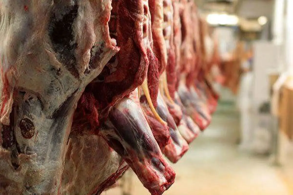 دستگیری یک نفر در پی کشف ۷۰۰ کیلو گوشت فاسد در شهرری 