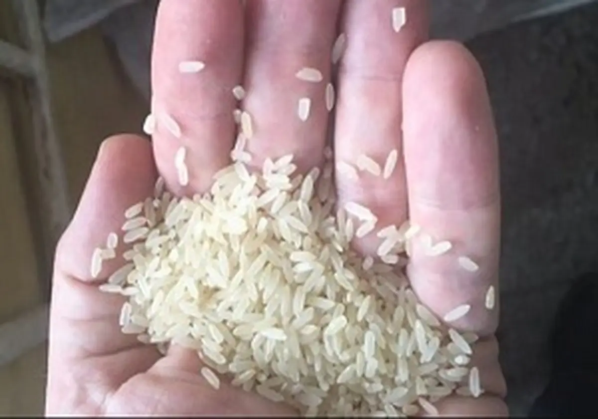 کشف "برنج پلاستیکی" در نیجریه