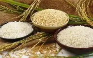ممنوعیت واردات برنج در فصل برداشت برداشته شد