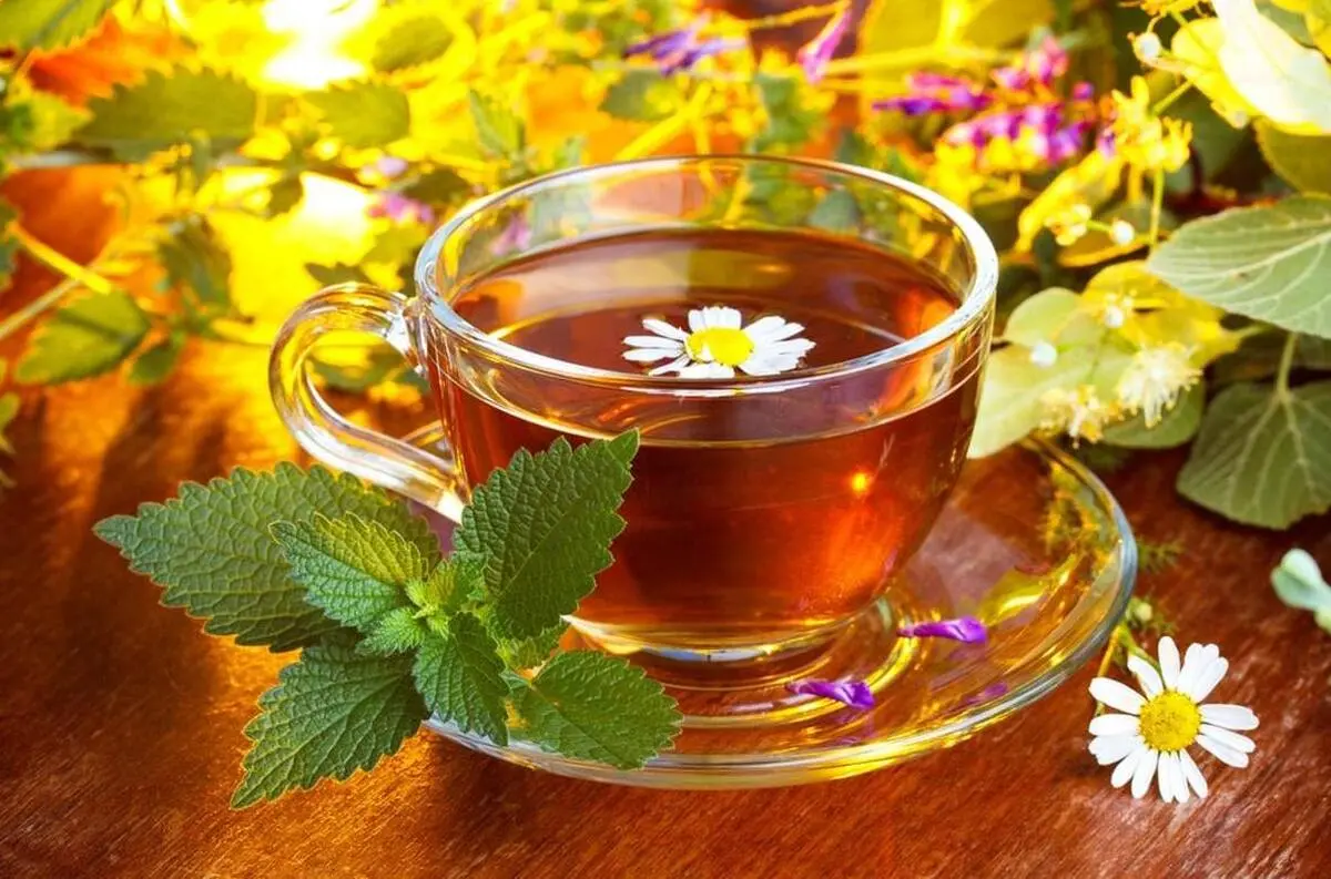 با این شش دمنوش خانگی اشتهایتان صفر می‌شود