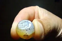  کشف مهر ساسانی با نقش خرگوش