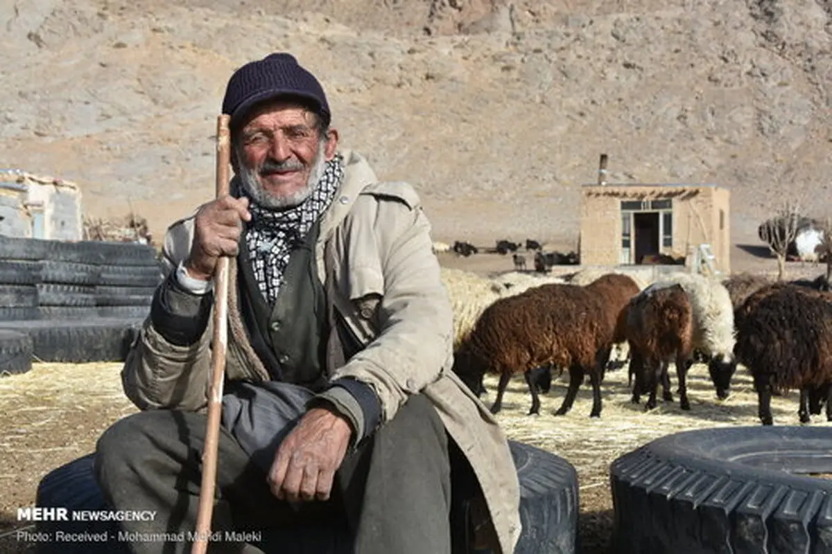 چوپان ۸۰ ساله ایرانی که تنها در بیابان زندگی می‌کند!