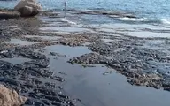 لکه بزرگ نفتی در نزدیکی جزیره کیش مشاهده شد