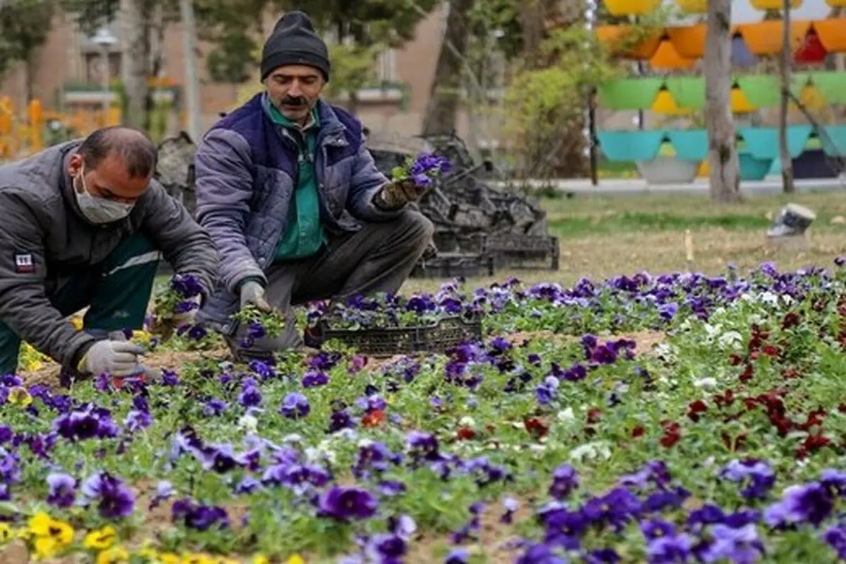 خواص گل‌ها برای سلامت روح و روان 