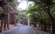 حقابه پارک چیتگر برای آبیاری درختان مجدد وصل شد