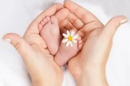 زنان با کدام گروه خونی در باروری به مشکل می خورند؟