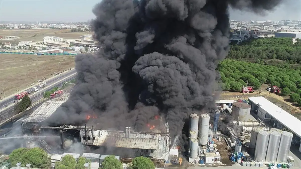 ویدئو؛ انفجار مهیب کارخانه مواد شیمیایی در ترکیه