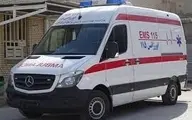 صدور مجوز واردات هزار آمبولانس