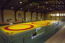 کشتی گیر سرشناس ایرانی  | محمود رفتاری فوت شد