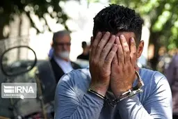 کلاهبرداری   |    روانپزشک قلابی در فضای مجازی دستگیر شد