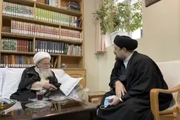 دیدار سید حسن خمینی با آیت الله صافی گلپایگانی+عکس