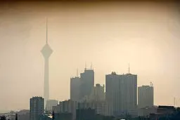 متهم ردیف اول «مه‌دود» پایتخت