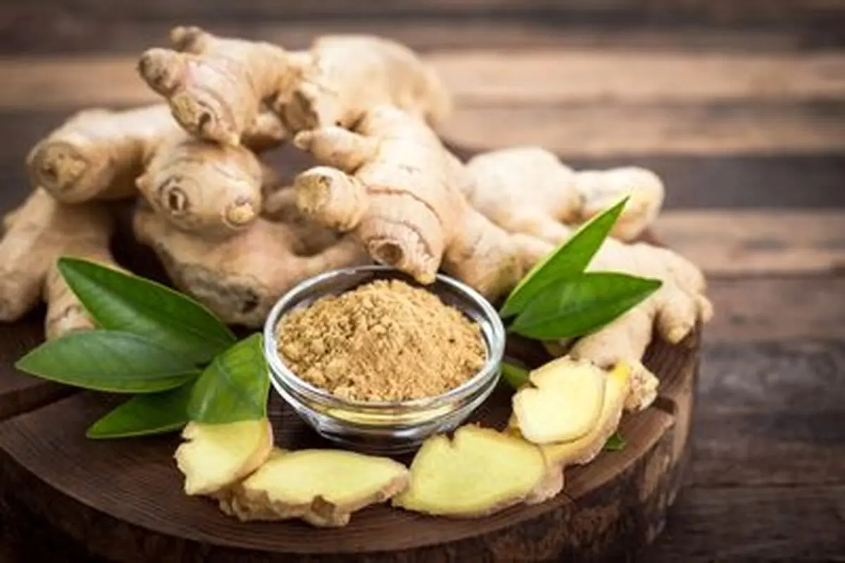 دیگه از بیرون زنجبیل نخرید | آموزش کاشت گلدان زنجبیل در خانه | تو خونه زنجبیل بکار