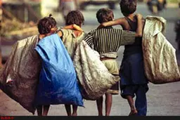 
 ساماندهی تعدادی ازکودکان کار و خیابان پایتخت